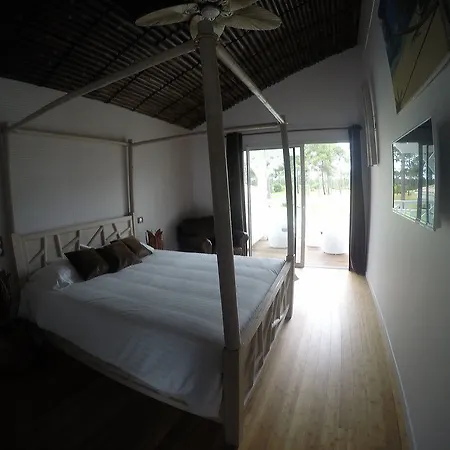 Bora Bora Bed & Breakfast Gujan-Mestras