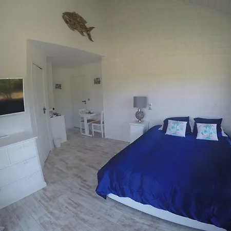 Bora Bora Bed & Breakfast Gujan-Mestras