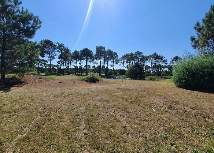 Bora Bora Bed & Breakfast Gujan-Mestras