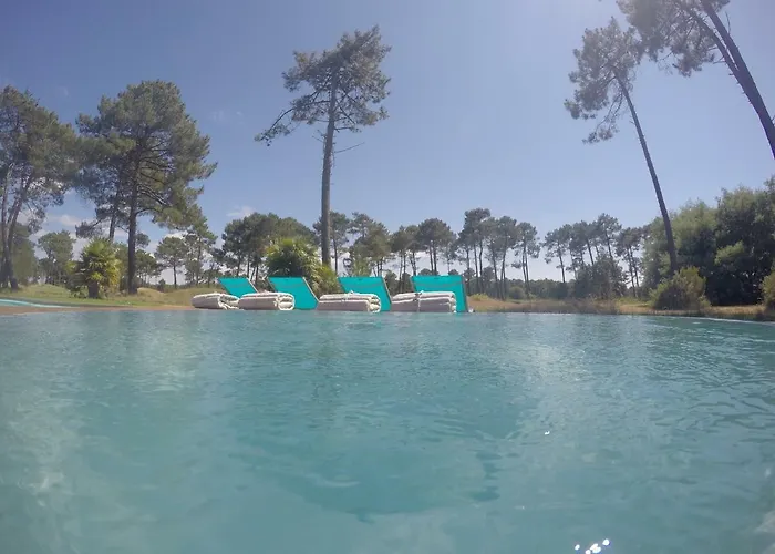 Bed & Breakfast Bora Bora Gujan-Mestras